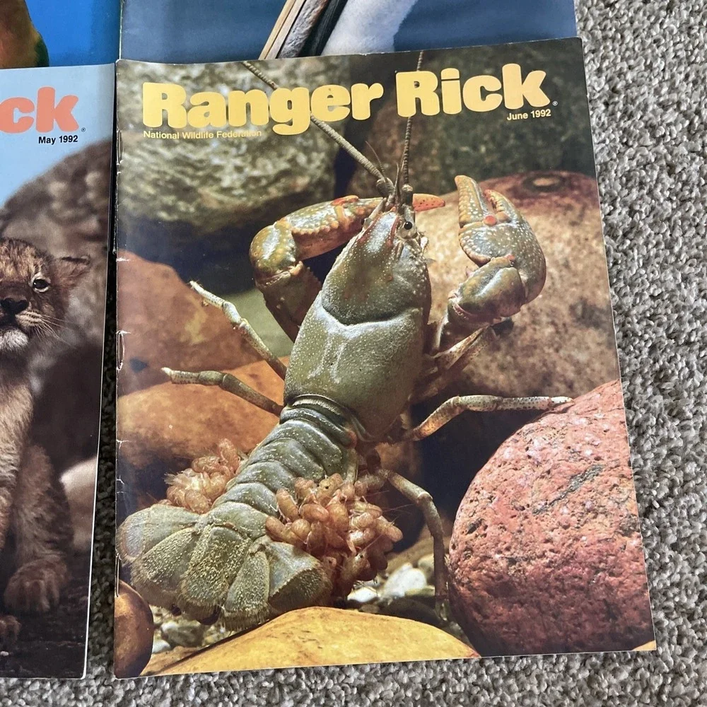 Ranger Rick's Nature Magazine 1992 National Wildlife Kids Vtg Lot Of‎ 9